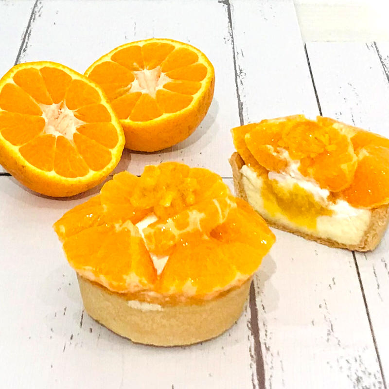 New商品 期間限定キッシュ パンジー ポンカン 花言葉 天真爛漫 Flower