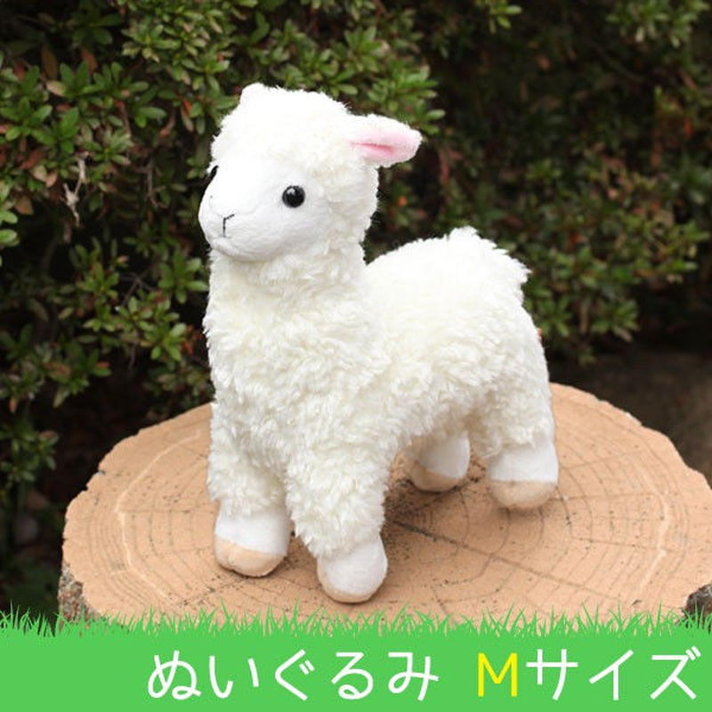 ｔｓｔ ａｄｖａｎｃｅ ベビーアルパカ パンナ ぬいぐるみ 単品 新品 森のきつねの本屋さん