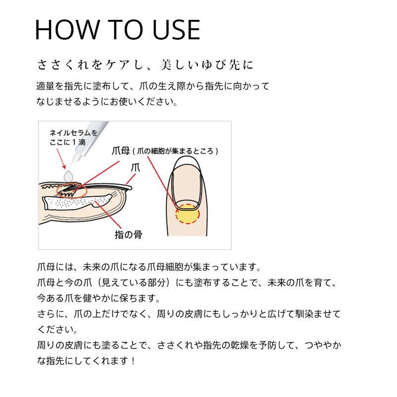 Fori フォーアイ ステム ネイルセラム 12g Fori Online Shop