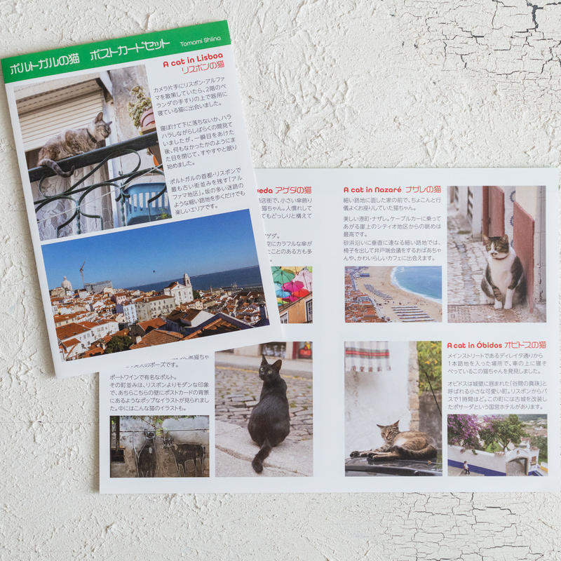 捧呈 ポストカードno329 ネコラ14 Shipsctc Org