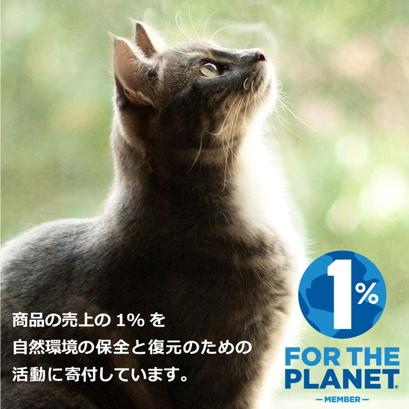 フォッカービオキャット 成猫用 無添加オーガニックキャットフード 2 5kg フリーサン