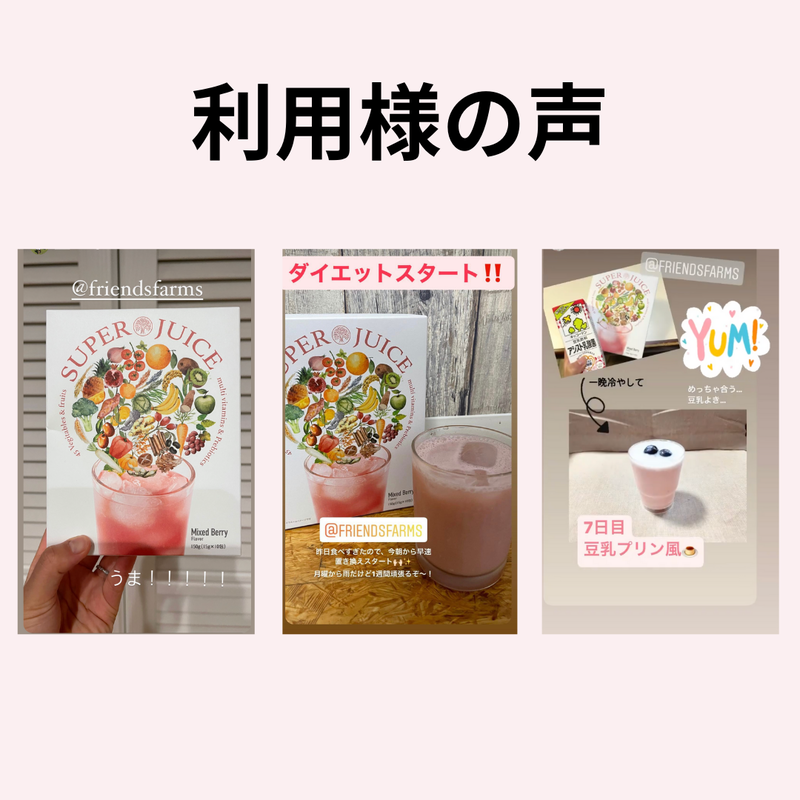 2週間ダイエットパック スーパージュース ミックスベリー 1箱10食分 フレンズファーム