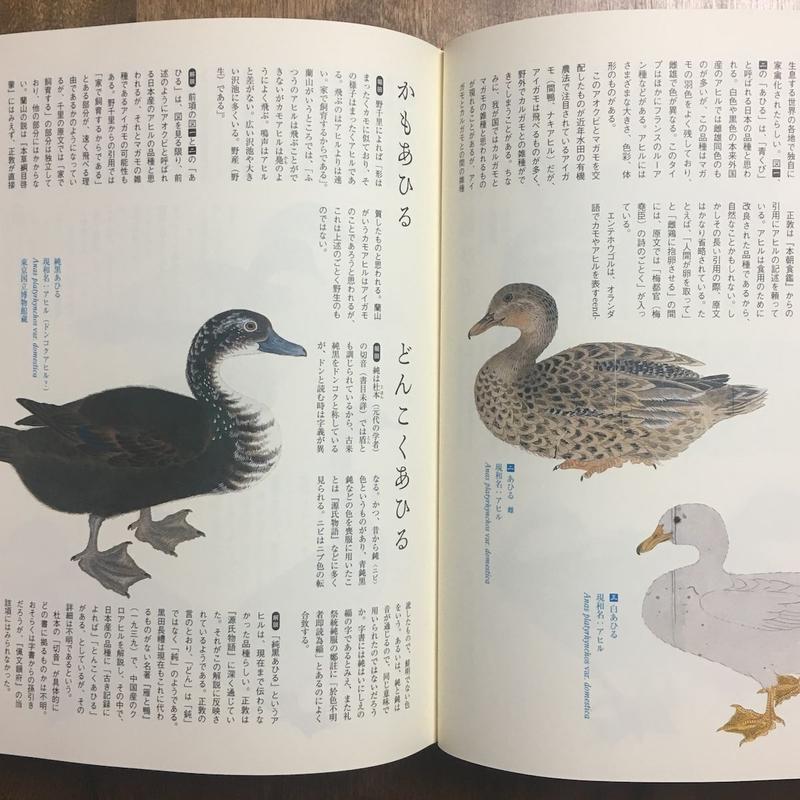 江戸鳥類大図鑑 よみがえる江戸鳥学の精華 観文禽譜 堀田正敦 鈴木道男 Froberg