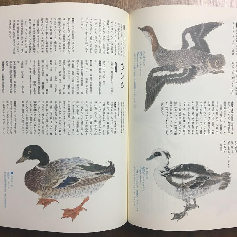 江戸鳥類大図鑑 よみがえる江戸鳥学の精華 観文禽譜 O E 健康 医学 Americanoutdoorusa Com