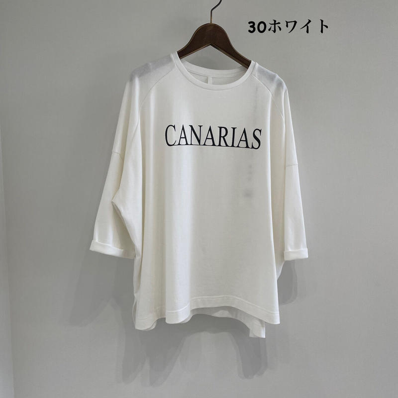 超目玉アイテム! ディニテコリエ ワイドTシャツ - boxtotalfit.com