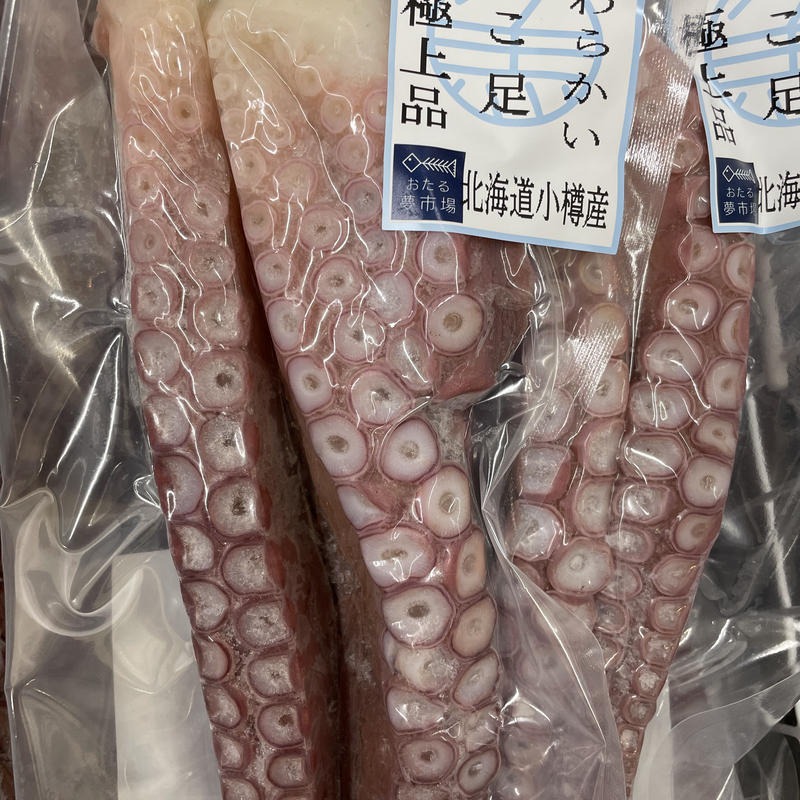 タコのみ Pricing Horizonyc Com
