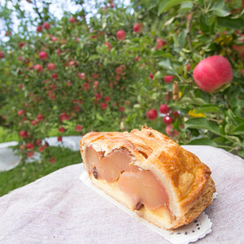 りんご園で焼いた贅沢アップルパイ ホールサイズ Fujita Apple Orchard りんご園で焼いた贅沢アップルパイ ホールサイズ Fujita Apple Orchard