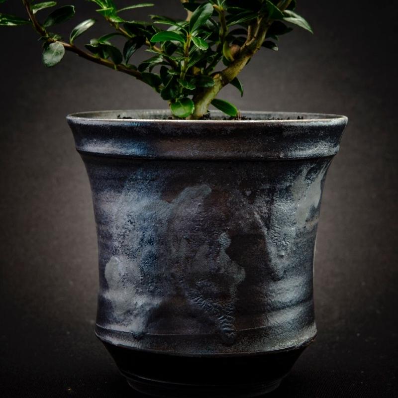 濱中史朗 植木鉢