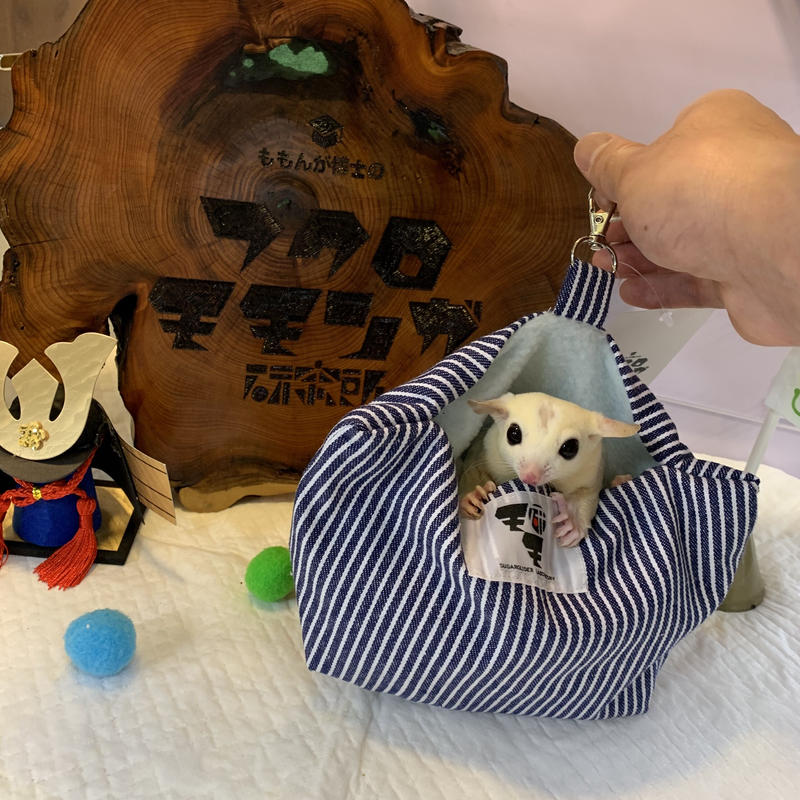 モモ研吊り下げベッド ストライプブルー 中敷ブルー ももんが博士のフクロモモンガ研究所公