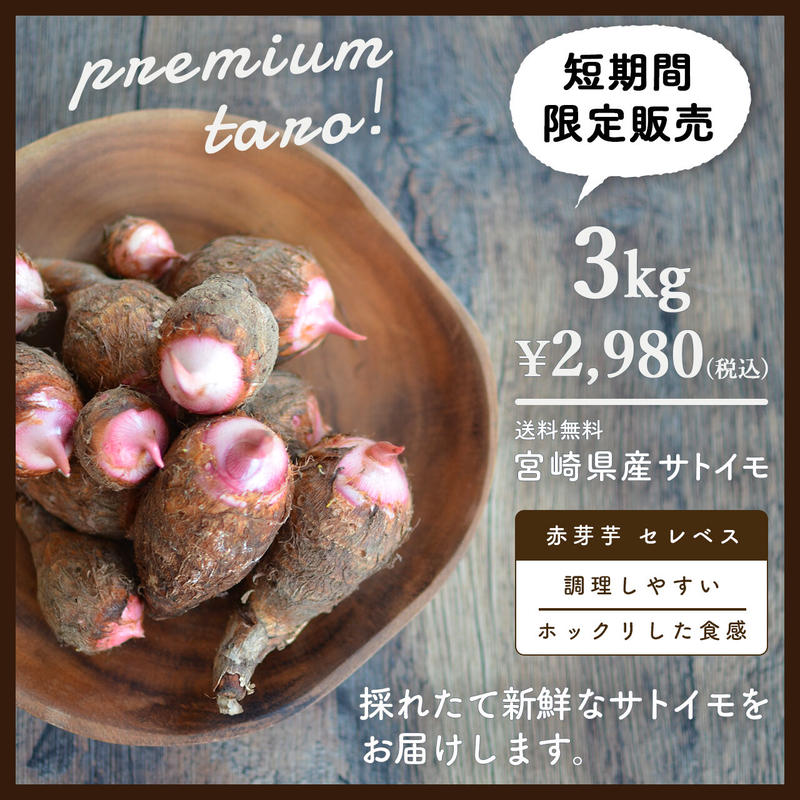 送料無料 増量キャンペーン 里芋 赤芽芋 セレベス 3kg 宮崎県産 さといも サトイモ