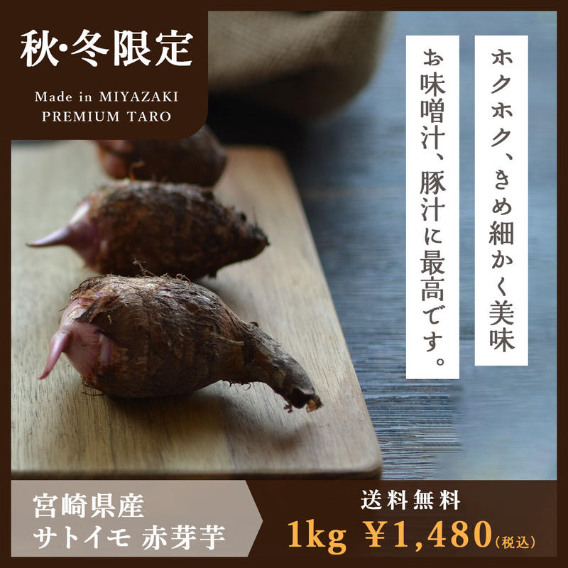 送料無料 増量キャンペーン 里芋 赤芽芋 セレベス 1kg 宮崎県産 さといも サトイモ 送料無料 増量キャンペーン 里芋 赤芽芋 セレベス 1kg 宮崎県産 さといも サトイモ