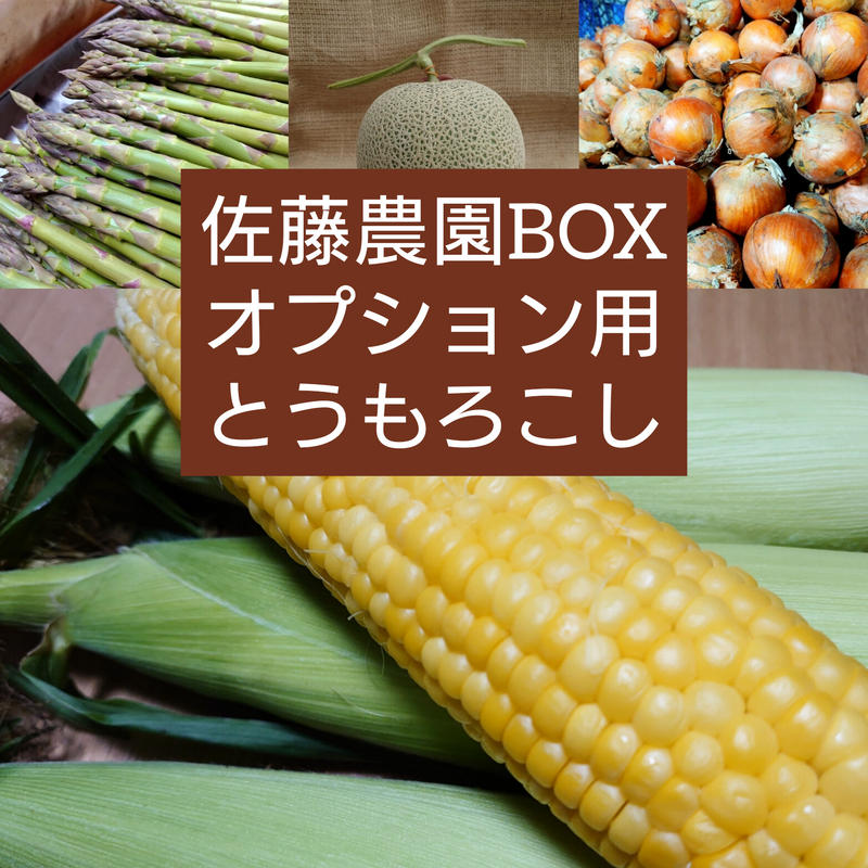とうもろこし受付ページ とうもろこし受付ページ