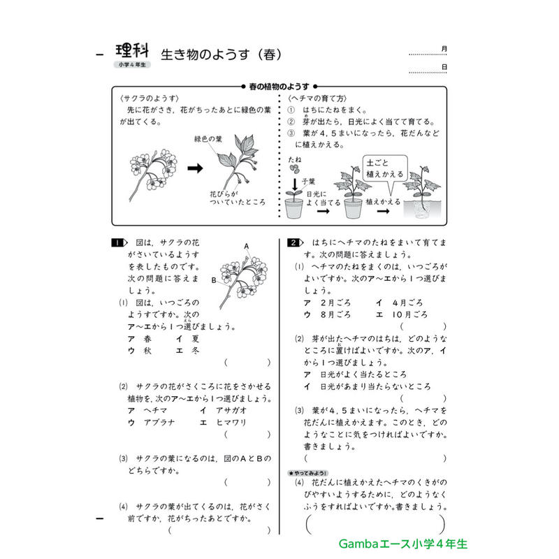 小学4年生理科 1年間分 がんばる舎 Online Shop