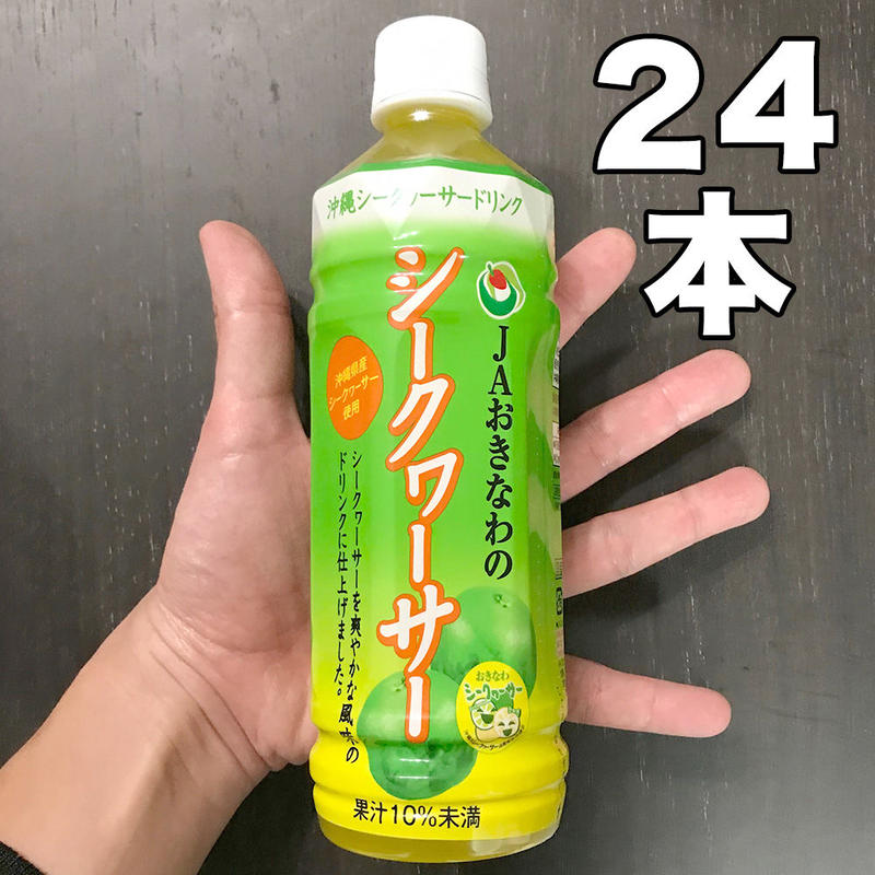 1942円 大人気 沖縄ボトラーズ パイン ドリンク 500ml×24本 1942円 大人気 沖縄ボトラーズ パイン ドリンク 500ml×24本