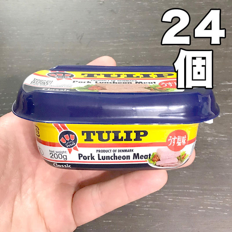 ポークランチョンミート エコパック うす塩味 チューリップ 0g 24個 送料無料 が