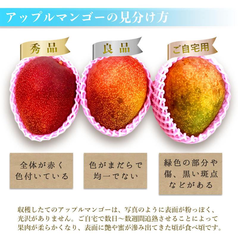 2022年収穫終了】沖縄県産 マンゴー ご自宅用 4kg(8-16玉) 送料無料 ...