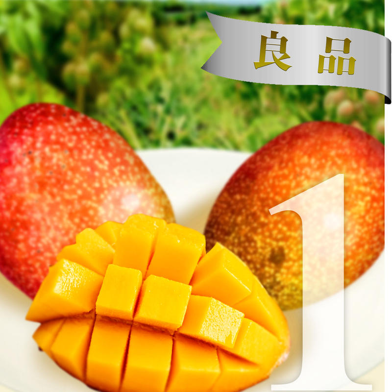 22年収穫終了 沖縄県産 マンゴー 良品 1kg 2 4玉 送料無料 がんばるやん