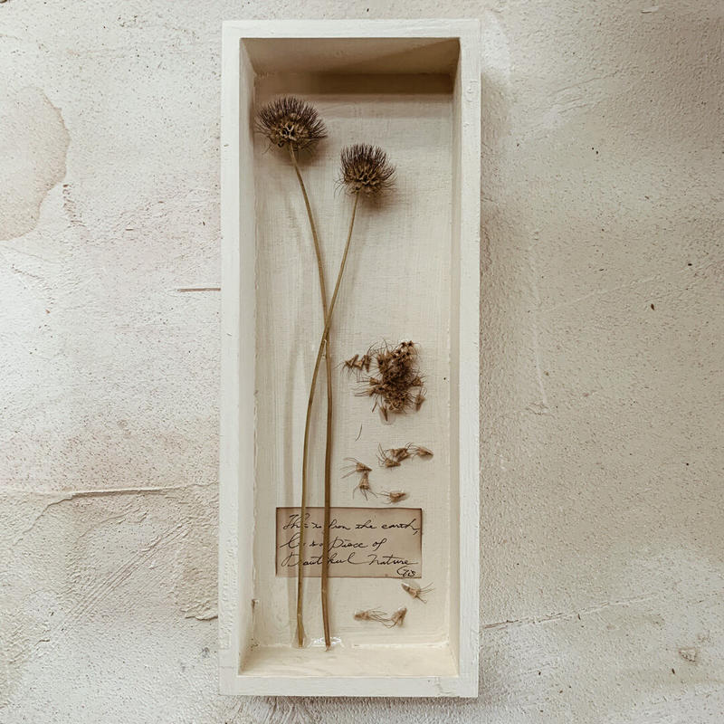 地球のかけら フレーム Sl 08 Gis Store