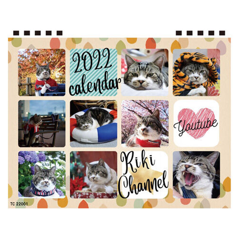 予約販売】 猫のリキちゃんねる 2022年 卓上 カレンダー Tc22151 | Anist...