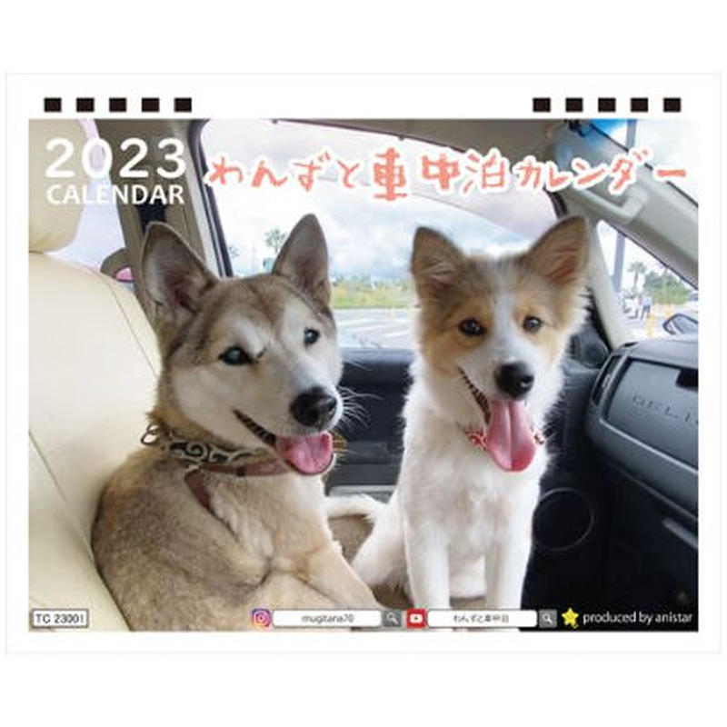 予約販売 犬のわんずと車中泊 23年 卓上カレンダー Tc Anista