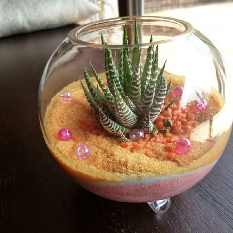 カラーサンドアート 観葉植物 G Plants