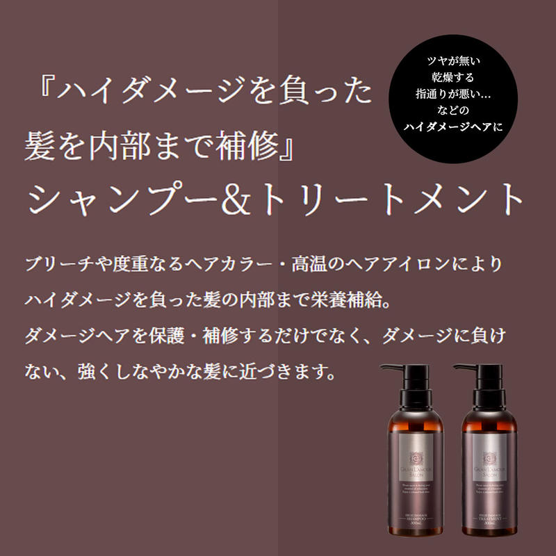 Sale 送料無料 スペシャルヘアケア4点セット ダメージケアシャンプー トリートメント