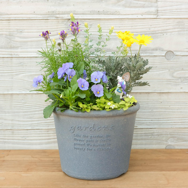 かわいいネズミさんが育てるチューリップの球根入り寄せ植え Green Terrace