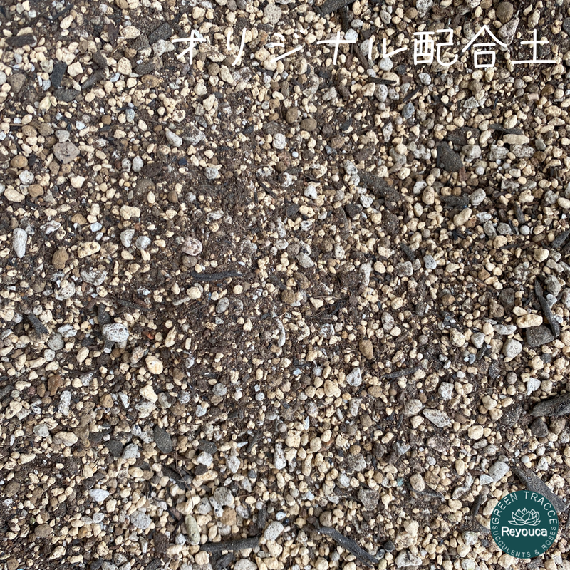 オリジナル多肉植物用土 500g Greenterrace Reyouca グリーンテラ