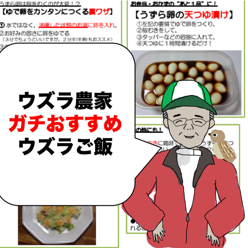 無料 ゆで卵だけじゃない ウズラ農家がこっそり教える本当に美味しいウズラの食べ方レシピ集