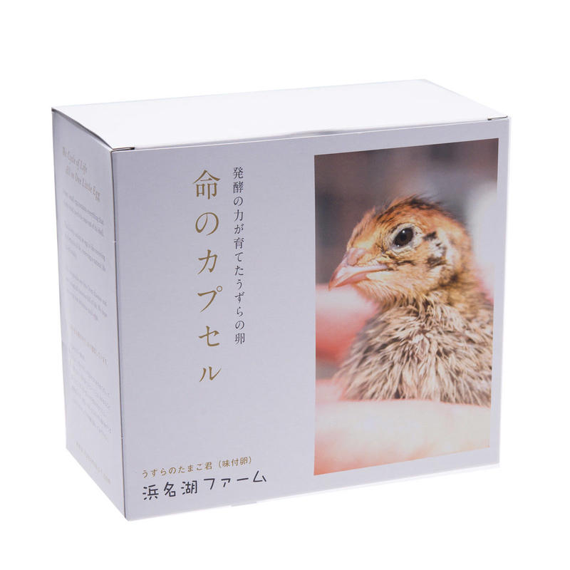 ギフト用 うずらぼっくす 浜名湖ファーム Pit A Pat 命のカプセル ギフトパック う