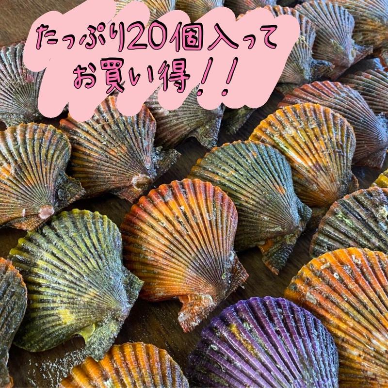 予約販売 期間限定商品 産地直送 日時指定可 海の宝石 ひおうぎ貝 個 お得な家
