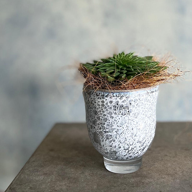 Fidrio Vase Mundo Verde Small フラワーベース 花福 オンライ