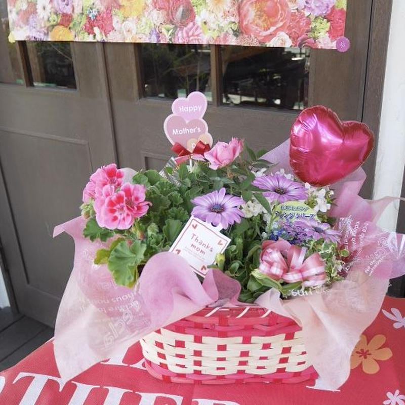 お祝い お任せ花苗寄せかご ご予約 S 花fusa S Store