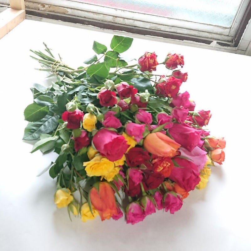 日付指定不可 バラミックス本 アウトレット特別価格 花の美里流通センター