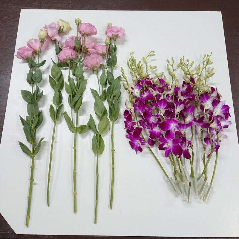 トルコキキョウ5本 ピンク デンファレ10本 定価7 590円 特別価格3 980円 税込