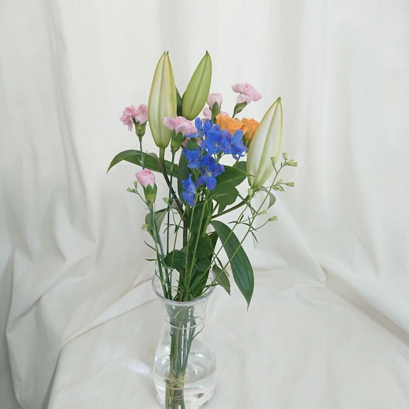 バイヤーおすすめ 高級スーパー御用達パック花 10セット 定価4 980円 花の美里流通