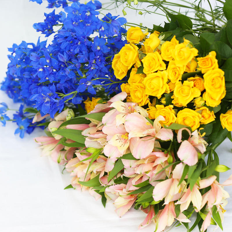 季節のおまかせ定期便 隔週 自宅に飾る用生花 3 300円分 花の美里流通センター