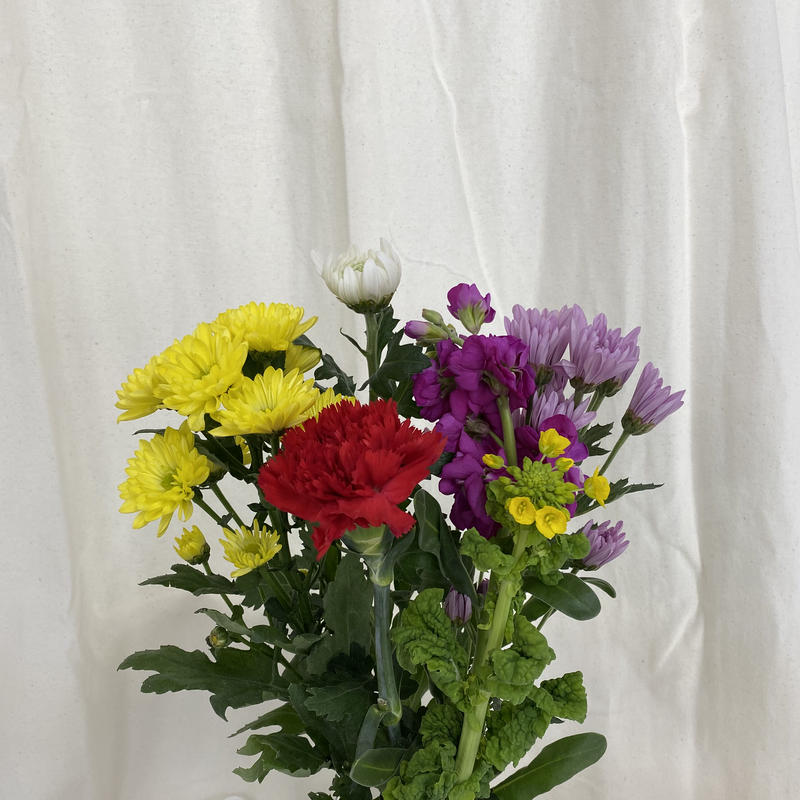 菊花束 仏花 墓花 10束セット5980円税込 送料込 花の美里流通センター