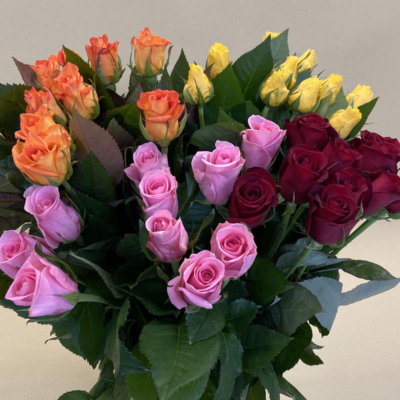 クラウンローズバラ 4色ミックス40本 8 500円 税込 送料込 花の美里流通センター