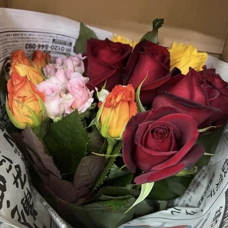 産地直送 バラミックス本 特別価格 日付指定不可アウトレット 花の美里流通センター