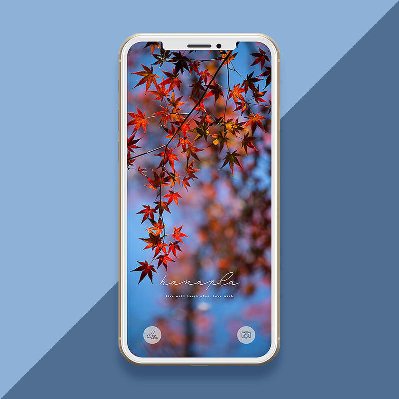 真っ赤な紅葉と青空 鮮やかな赤色でポジティブな気持ちに 紅葉の待ち受け画像 おしゃれ待ち