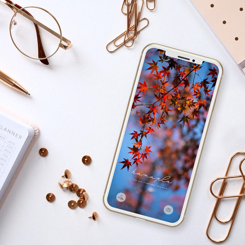 真っ赤な紅葉と青空 鮮やかな赤色でポジティブな気持ちに 紅葉の待ち受け画像 おしゃれ待ち