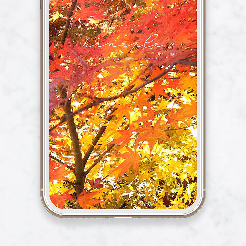 鮮やかカラー エネルギーを感じる紅葉のスマホ壁紙 Hanapla おしゃれ待ち受け画面