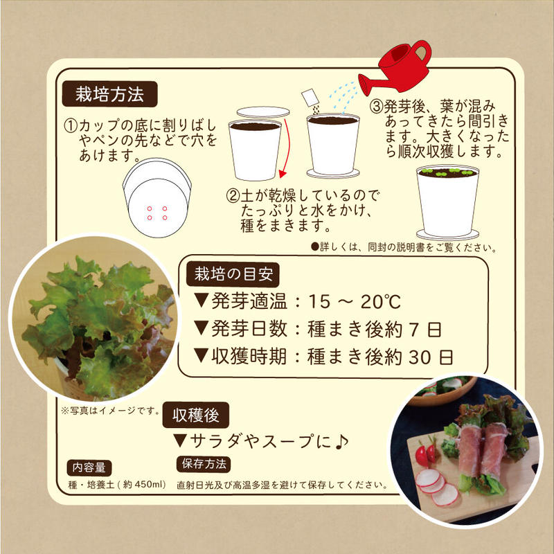 Natural Farm カンタン栽培キット サニーレタス 栽培セット 花さんぽ 種子