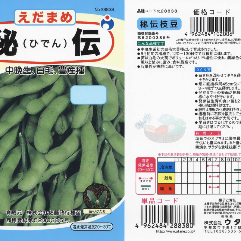 秘伝枝豆 送料込 種セット 23g 2 花さんぽ 種子 アートフラワー 栽培キット