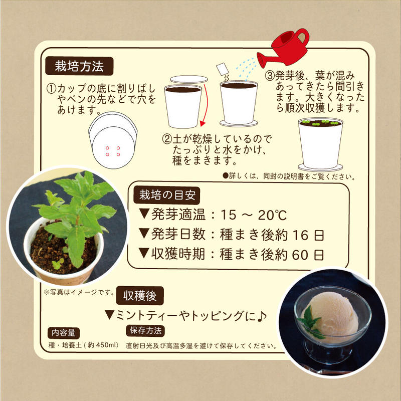 Natural Farm カンタン栽培キット ペパーミント 栽培セット 花さんぽ 種子
