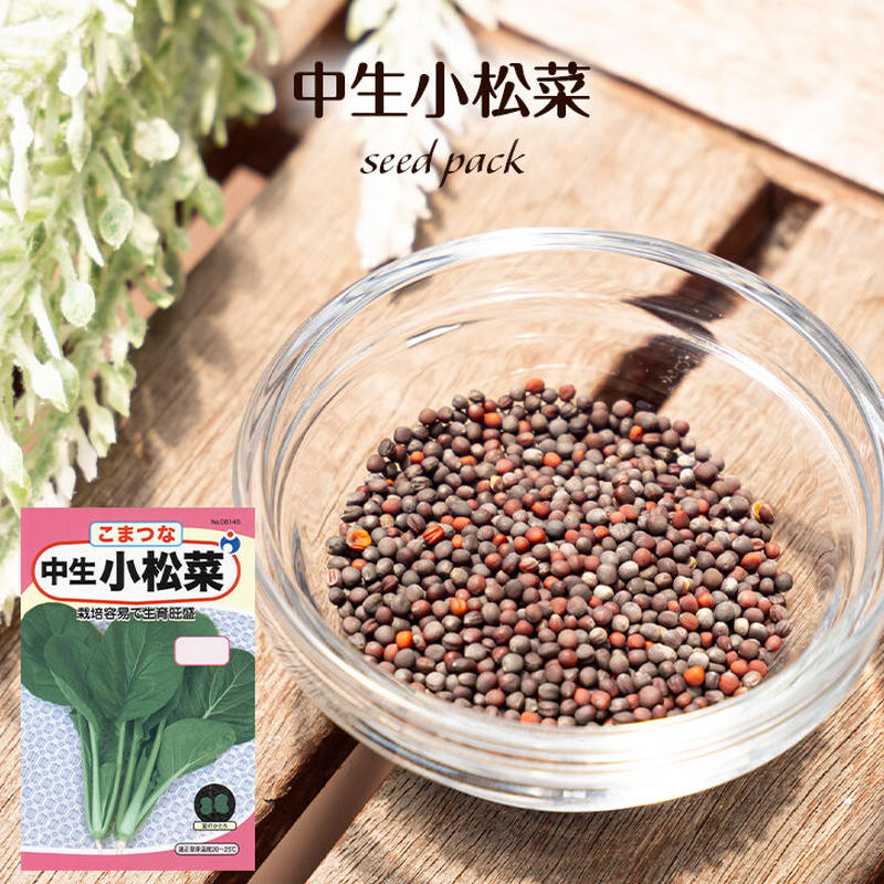 中生小松菜 送料込 種セット 10g 花さんぽ 種子 アートフラワー