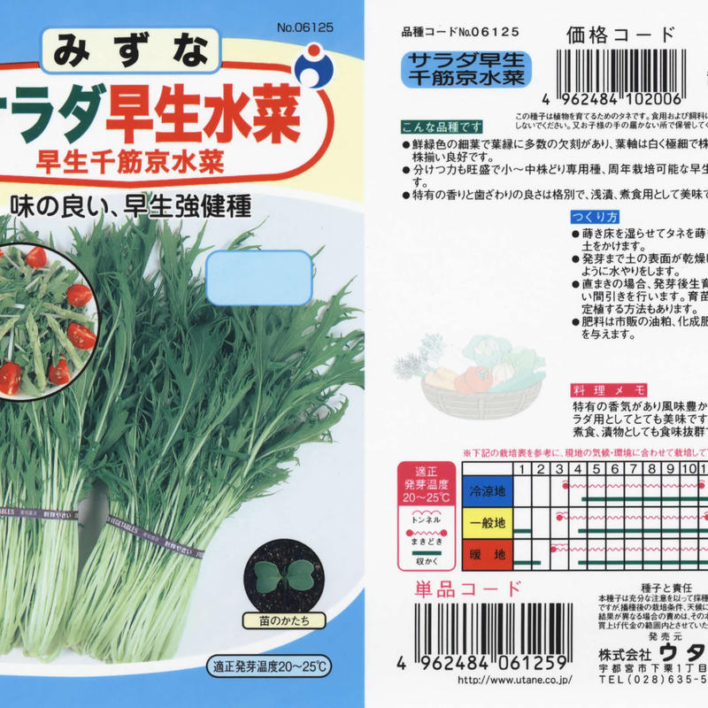 サラダ早生千筋京水菜 送料込 種セット 10g 花さんぽ 種子 アートフ