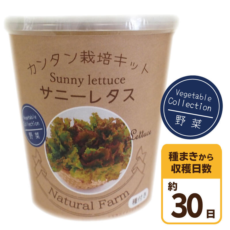 Natural Farm カンタン栽培キット サニーレタス 栽培セット 花さんぽ 種子 Natural Farm カンタン栽培キット サニーレタス 栽培セット 花さんぽ 種子