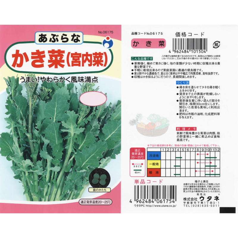 かき菜 送料込 14g ギフト 花さんぽ 種子 アートフラワー 栽培キット